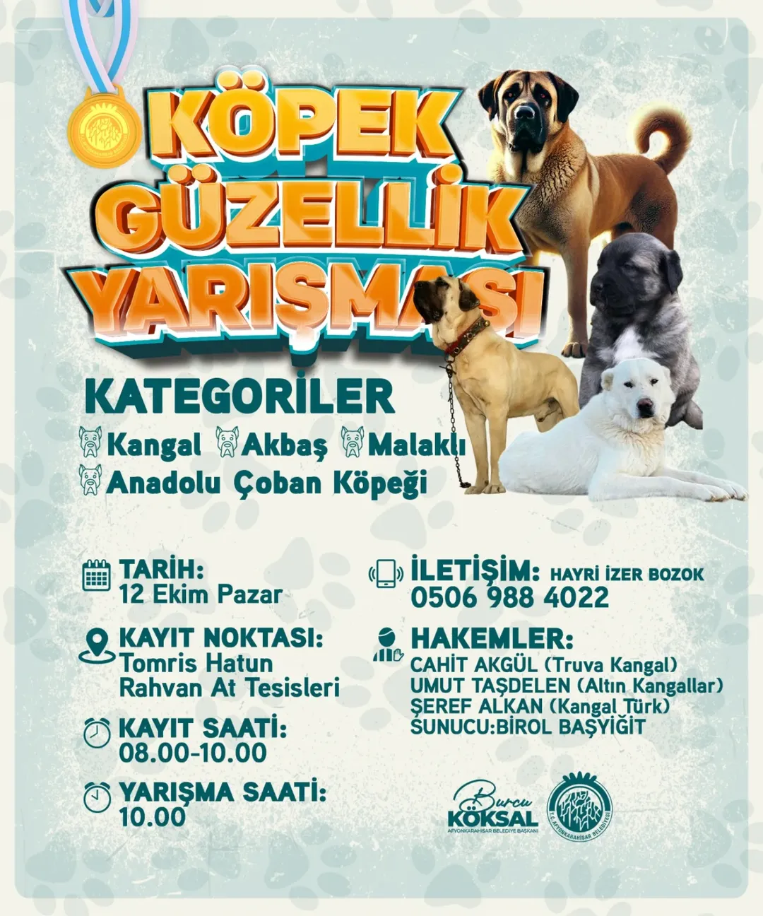 Afyonkarahisar'da Geleneksel Köpek Güzellik Yarışması Heyecanı