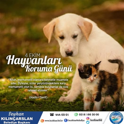 İscehisar'da 4 Ekim Hayvanları Koruma Günü Kutlandı